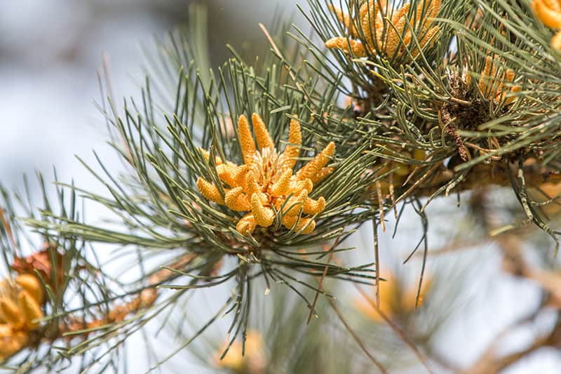 AdobeStock 356479965
