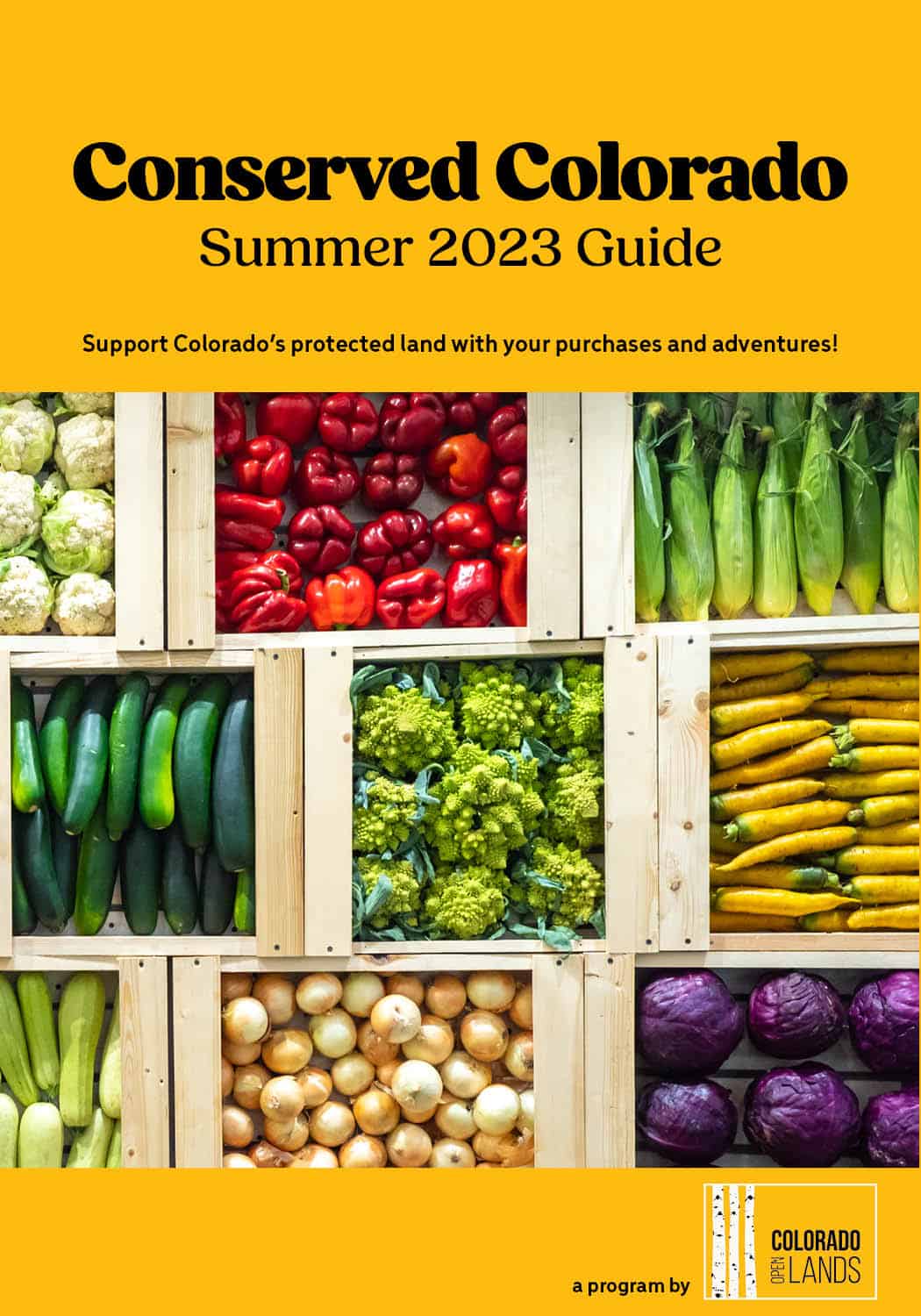 CCcoversummer2023