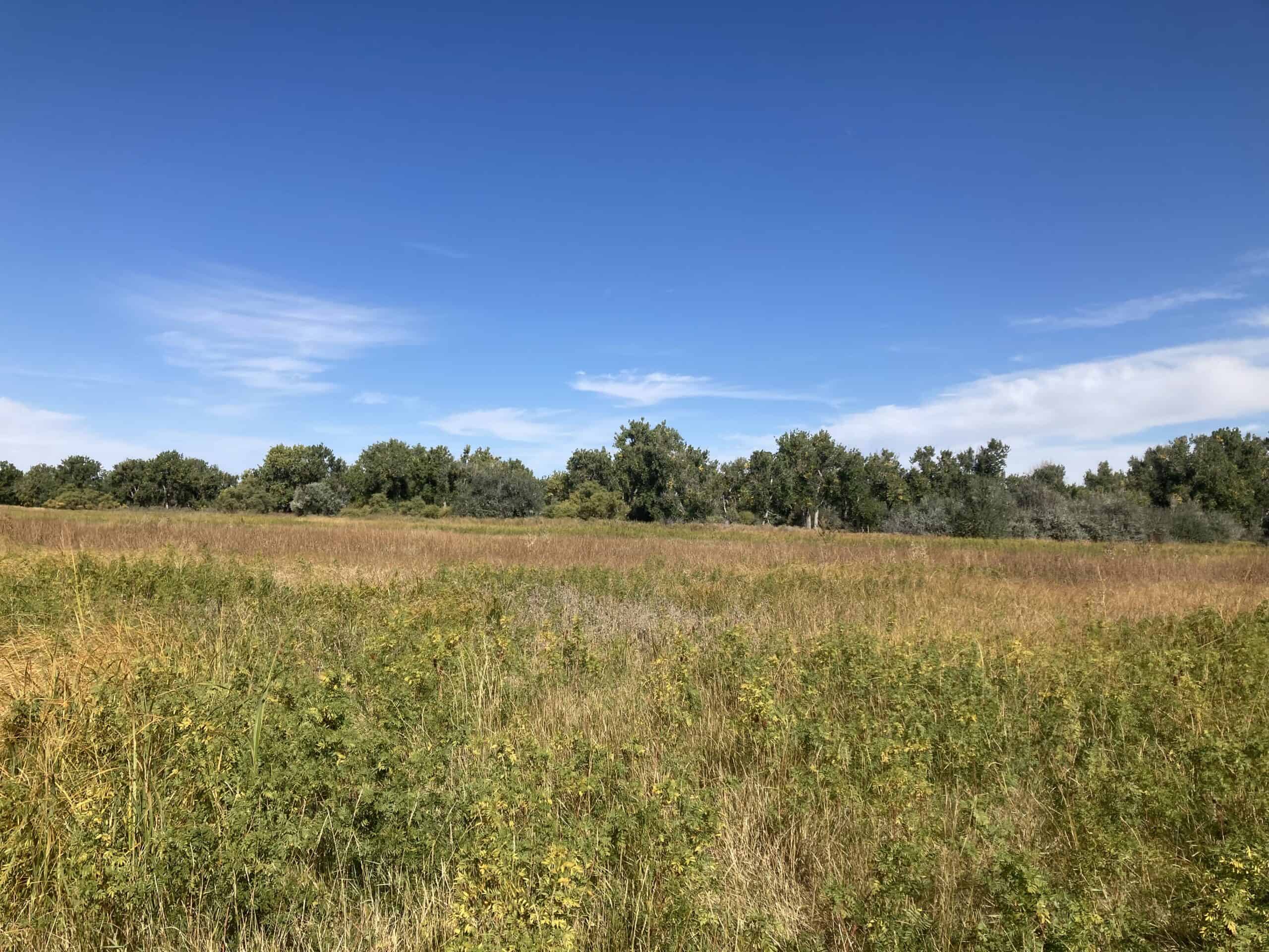 Colorado Open Lands