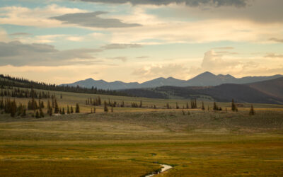 Cochetopa Dome Ranch – Permanently Protected!