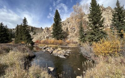 Permanently Protected – Michigan Creek Fishing Preserve!