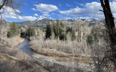Waterman Property – permanently protected!