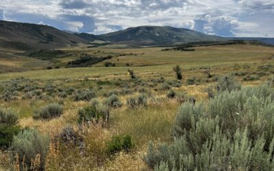 Oak Meadows Ranch – permanently protected!