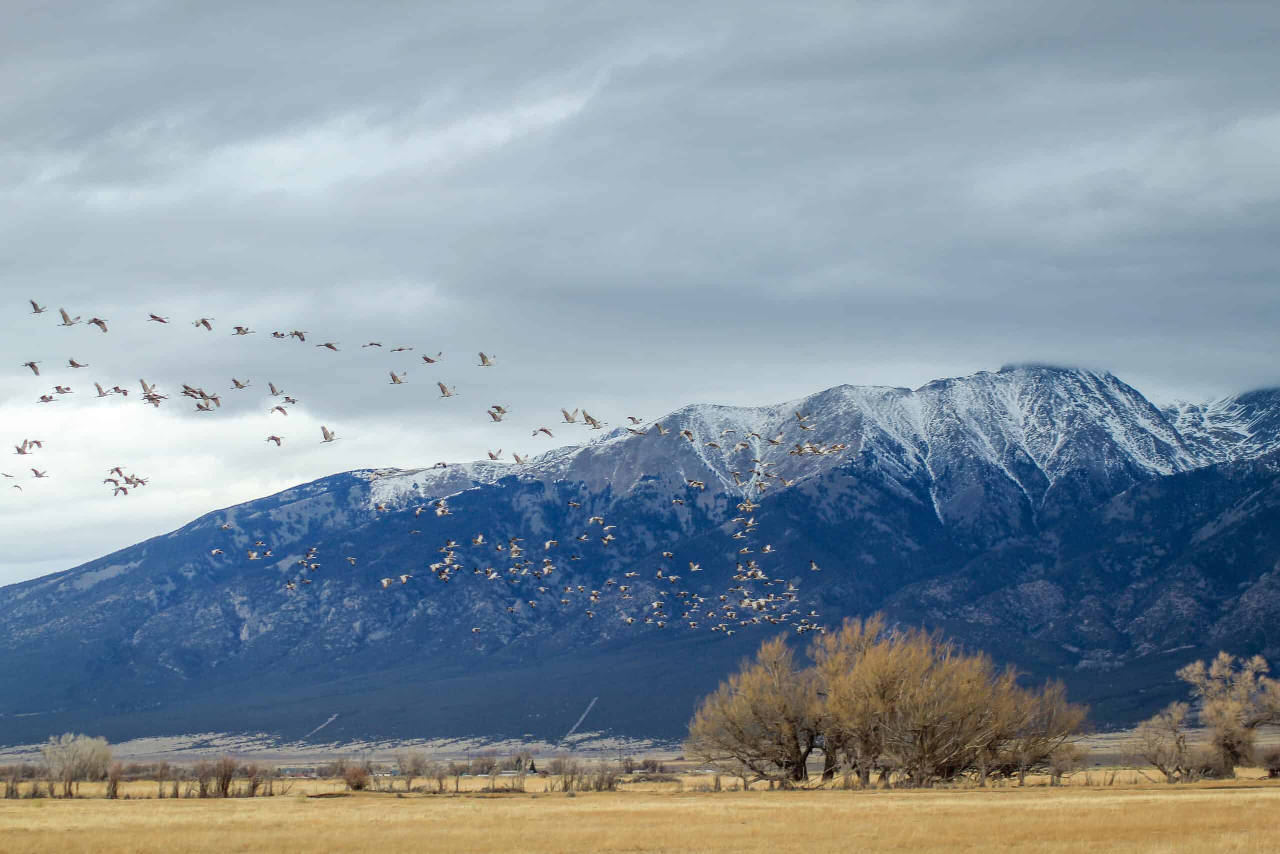 Colorado Open Lands