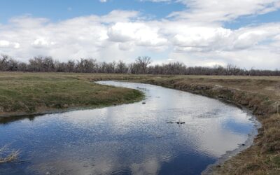 South Platte wetlands – Permanently Protected!