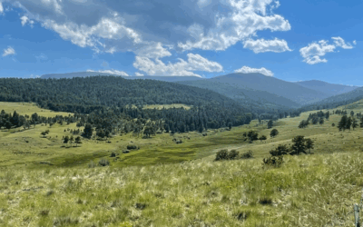Taylor Ranch – permanently protected!