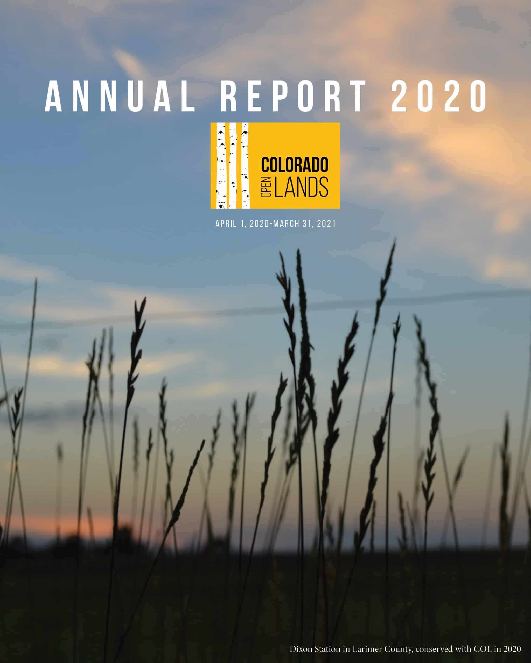 annual report 2020 cover scaled