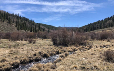 Big Bend Pasture – permanently protected!