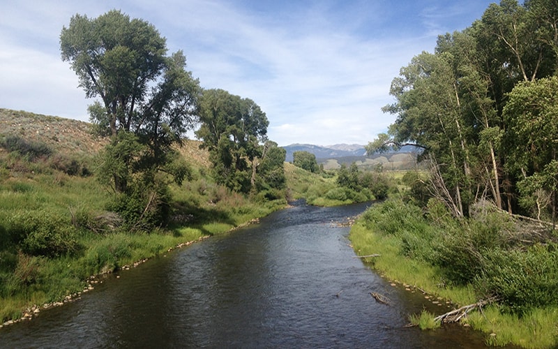 coloradoriver