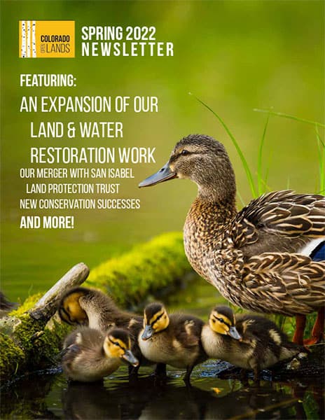 ducks publication