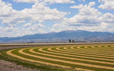 Our Groundwater conservation work featured on National Public Radio!