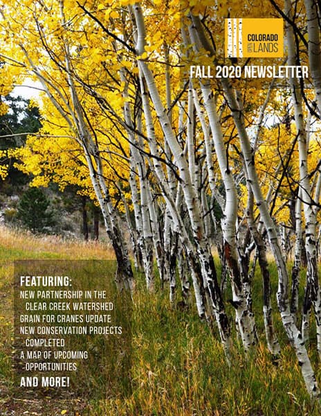 trees publication