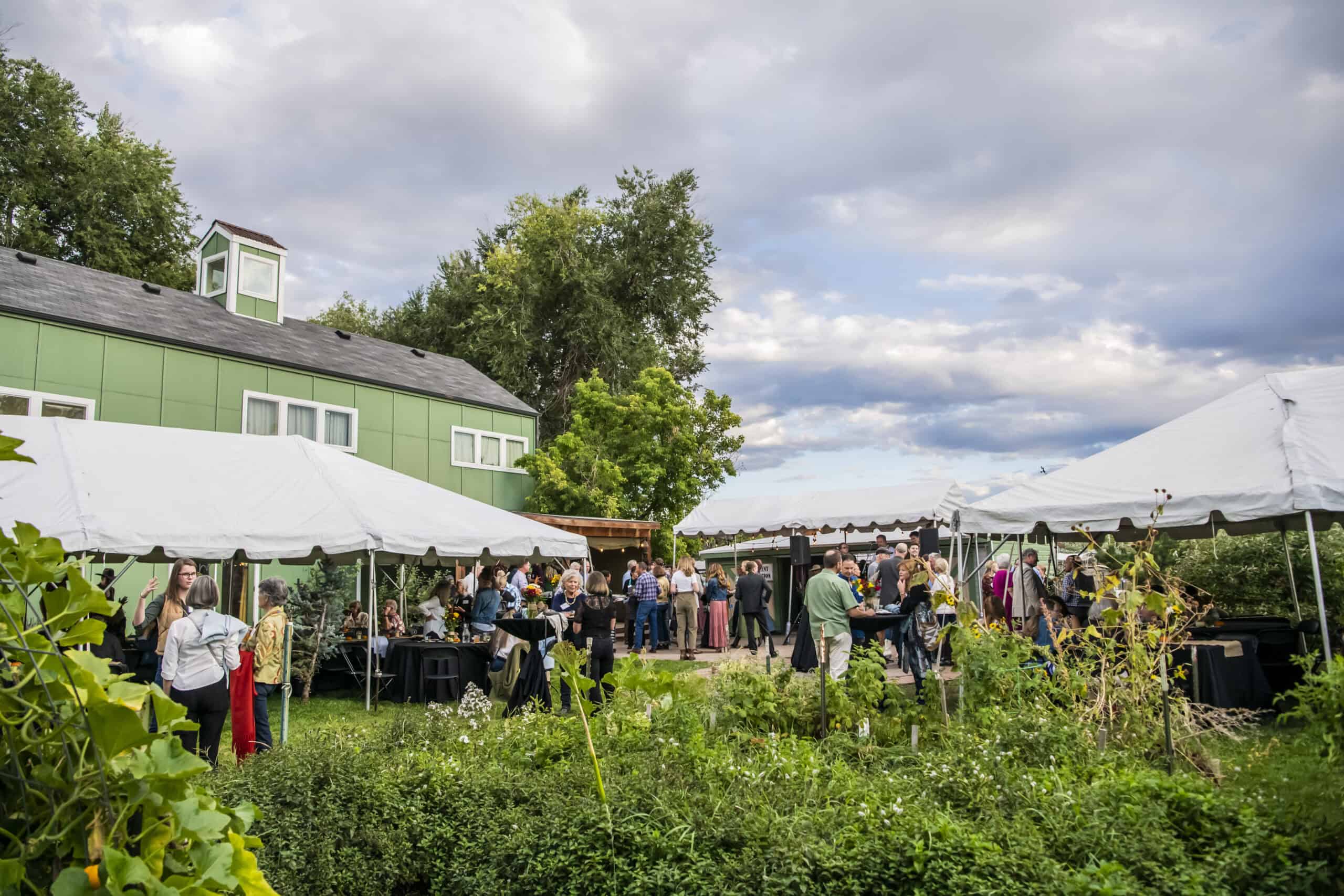 A picnic at an urban farm.