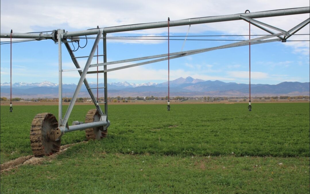 Waggener Farm – additional water rights protected!